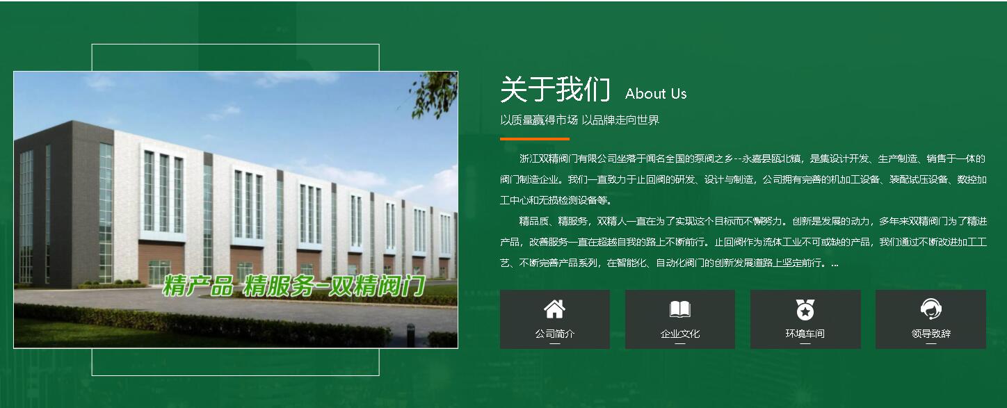 浙江雙精閥門有限公司穩(wěn)步發(fā)展全新升級-圖片